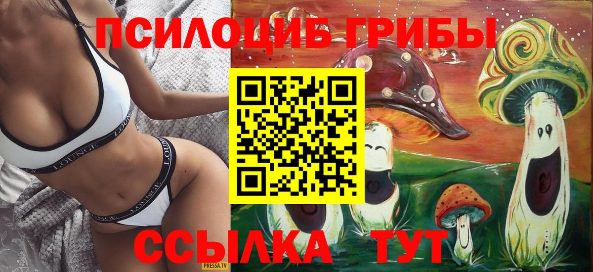 Иваново  Псилоцибиновые грибы Cubensis  Псилоцибиновые грибы мухоморы  Вход с VPN 